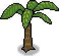 File:Growing Coconut Tree.gif