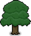 File:Spruce Tree.png