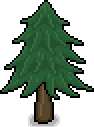 File:Pine Tree.png
