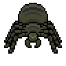 File:Swamp Cave Spider.png
